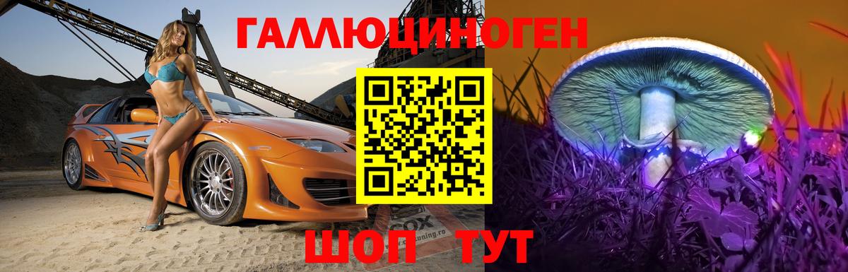 Новоалександровск  Галлюциногенные грибы GOLDEN TEACHER  Вход с VPN  Галлюциногенные грибы GOLDEN TEACHER 